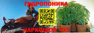 скорость Лесосибирск