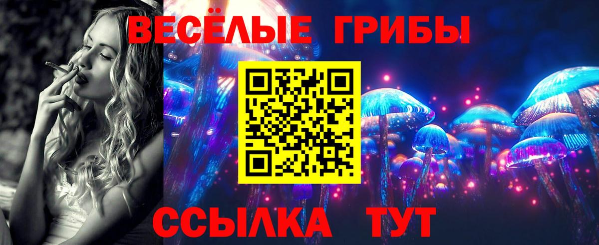 Псилоцибиновые грибы Psilocybine cubensis Гурьевск